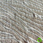 KS-N233695%recyclednylon+5%spandex95cm400gms